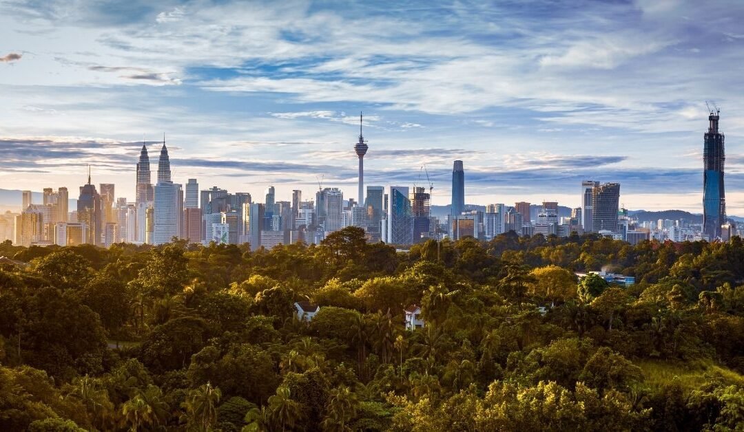 City skyline with tall skyscrapers rising above a dense green forest at dusk/sunset light.