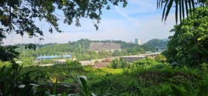 Lush green foreground frames a distant view of a hillside, highway, and tall buildings under a blue sky.